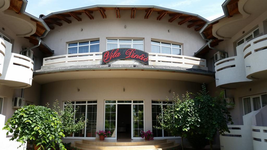 Vila Dincic Veliko Gradište Esterno foto