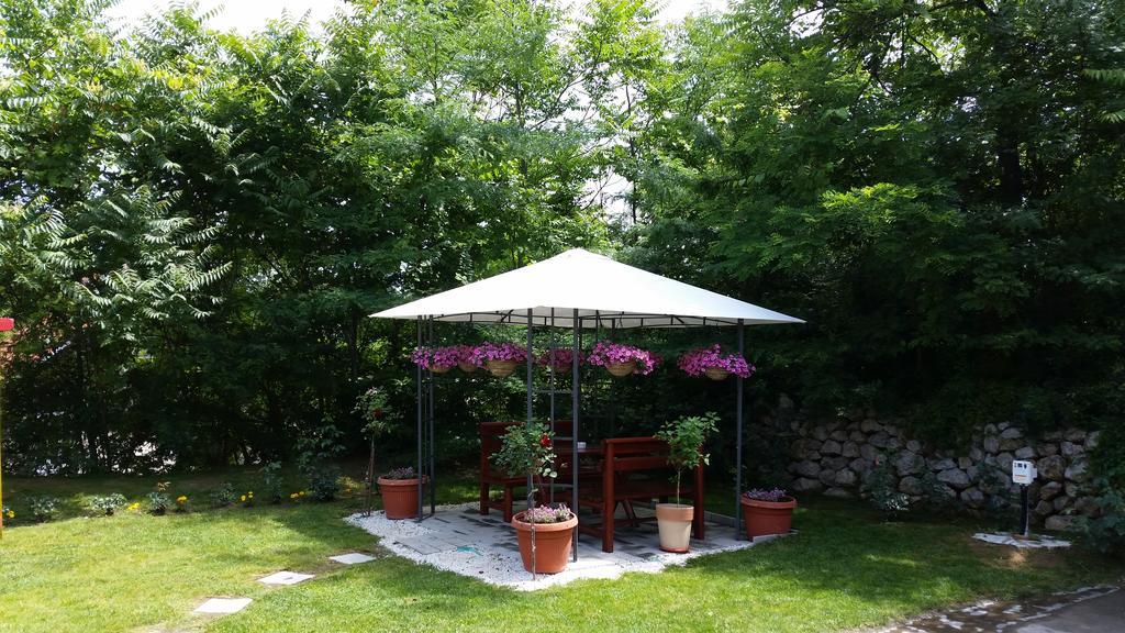 Vila Dincic Veliko Gradište Esterno foto