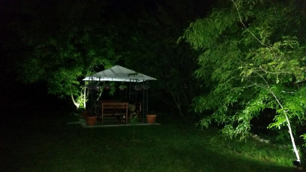 Vila Dincic Veliko Gradište Esterno foto