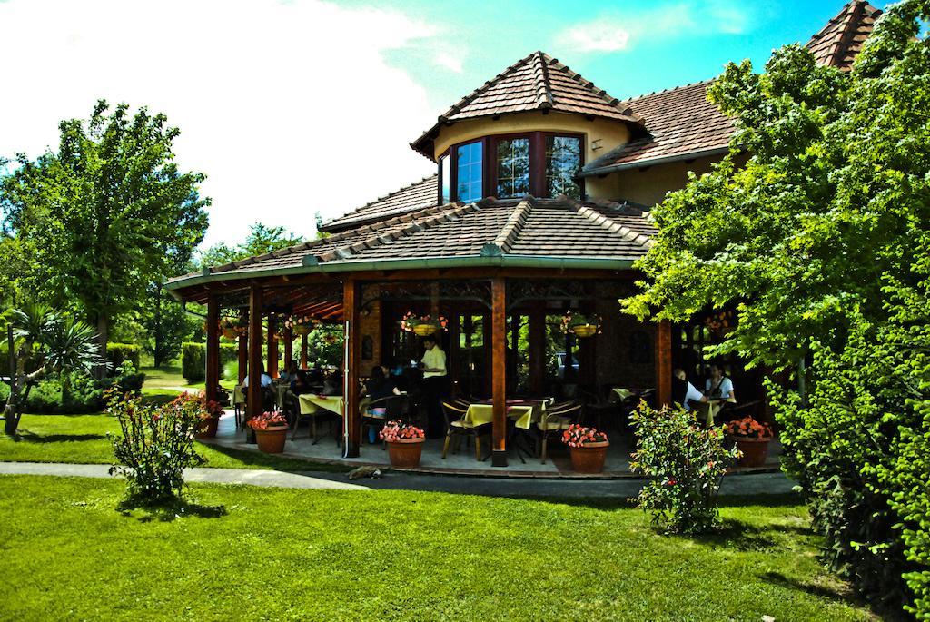 Vila Dincic Veliko Gradište Esterno foto